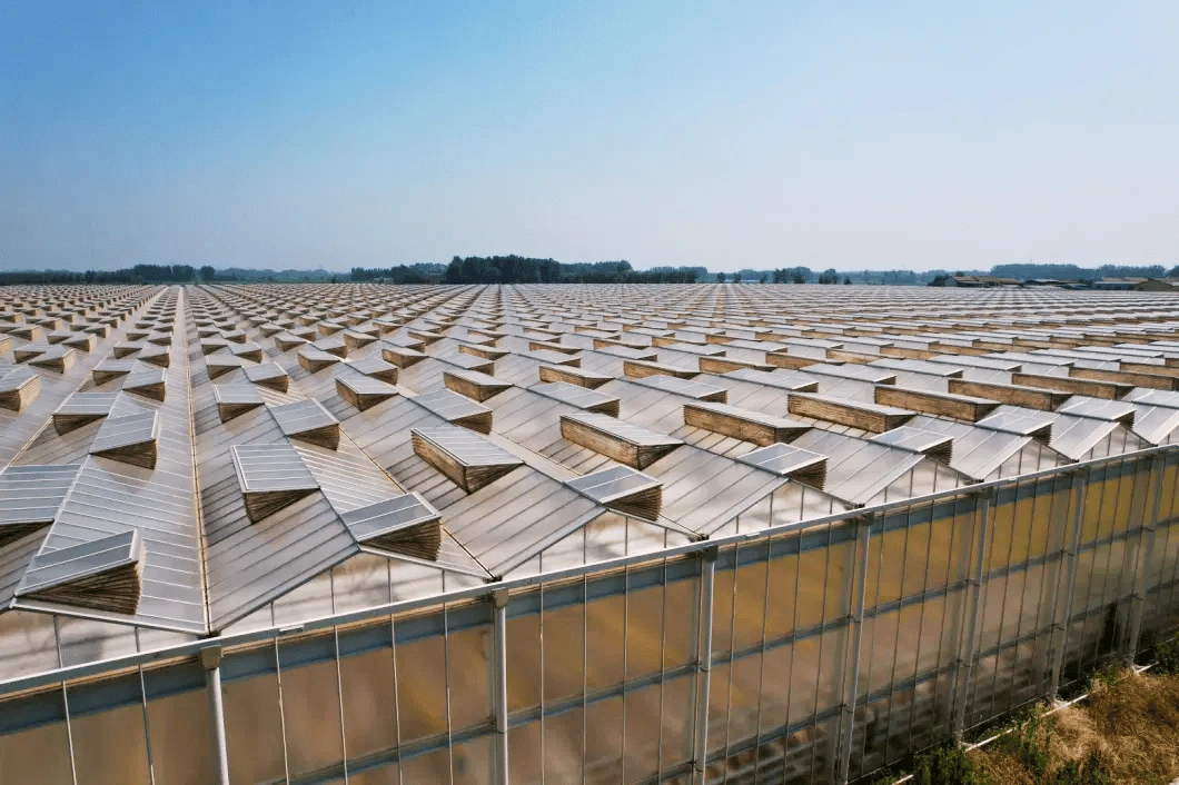 China Polycarbonate Greenhouse For Africa China Polycarbonate Greenhouse For Africa