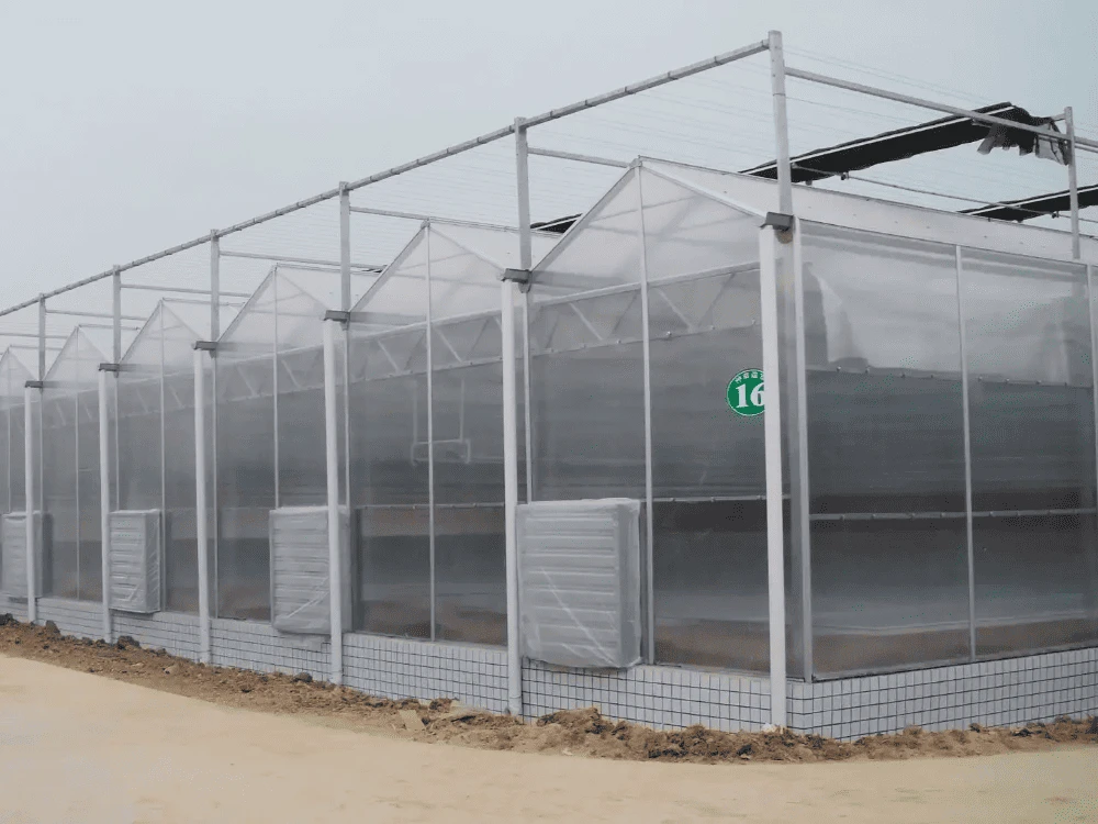 China Polycarbonate Greenhouse For Africa China Polycarbonate Greenhouse For Africa
